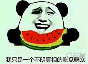 瓜瓜吃瓜的教育意义,寓教于乐，培养孩子观察与思考能力