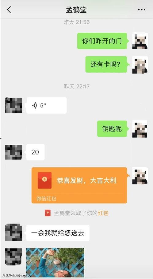 网红微信聊天壁纸,潮流视觉盛宴，解锁个性魅力瞬间