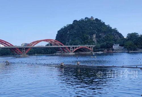 广西柳州有哪几个网红,探寻广西柳州热门网红景点