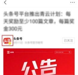 头条私信提醒在哪里,轻松掌握撰写概述文章副标题的技巧