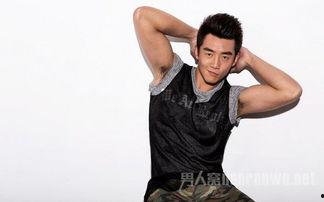 健身镜 明星,引领健康生活新潮流的健身神器