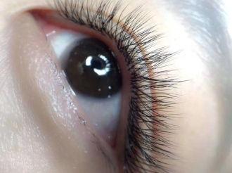 种睫毛网红yy睫毛,打造迷人睫毛的秘密武器