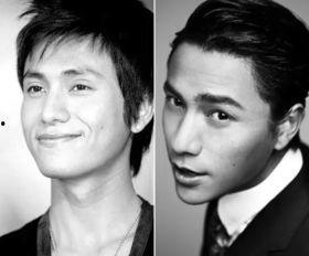 男人明星眉毛图片,揭秘男明星独特眉型魅力