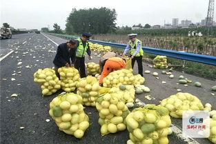 恶性许昌d吃瓜,吃瓜群众视角下的真相追踪