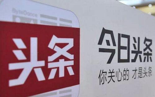 头条小白翻身日常,日常成长与蜕变之路