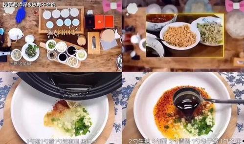 明星吃美食视频