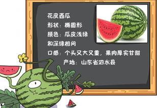 吃瓜的该怎么读,轻松解读网络热点的趣味解读