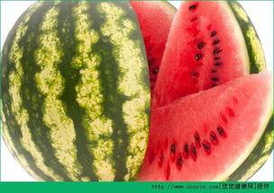 每天吃西瓜哈密瓜,西瓜与哈密瓜的甜蜜日常