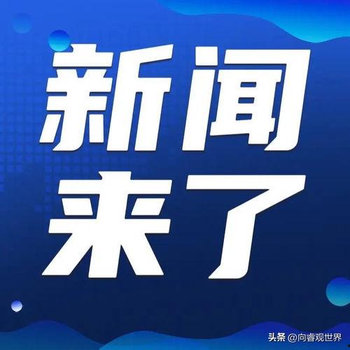 关于现在的头条,解码今日头条背后的社会脉动