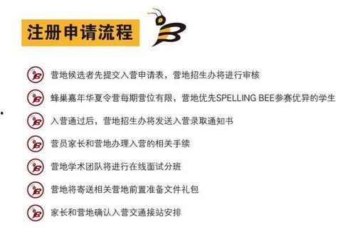 网红打卡地研究状况,热点追踪与趋势洞察