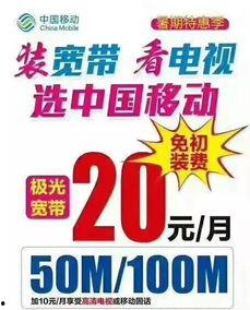 东平八巷新闻头条视频,聚焦最新动态，洞察区域发展新趋势